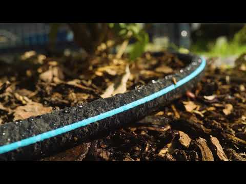 Video Vorschau